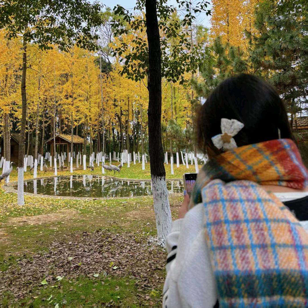 真正的梦想为何物