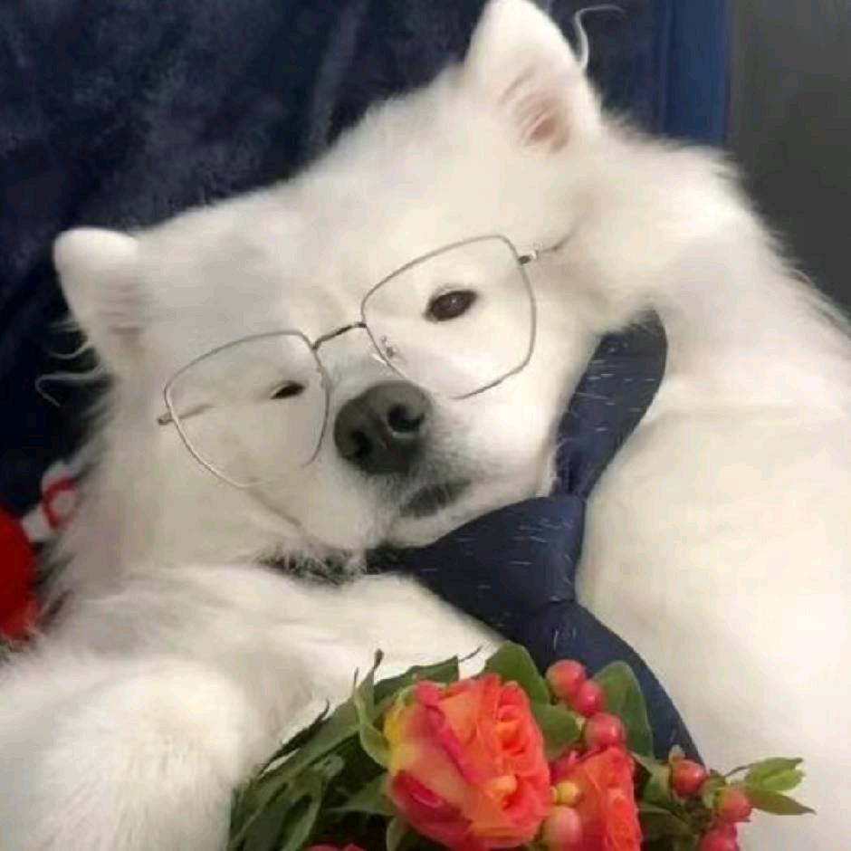 爱💤