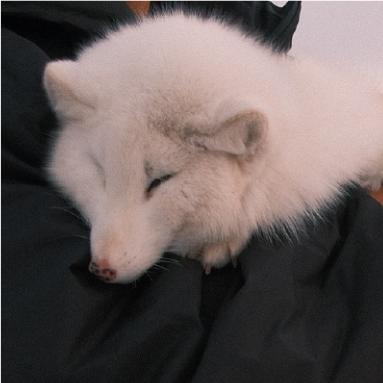 我也是个无趣的人