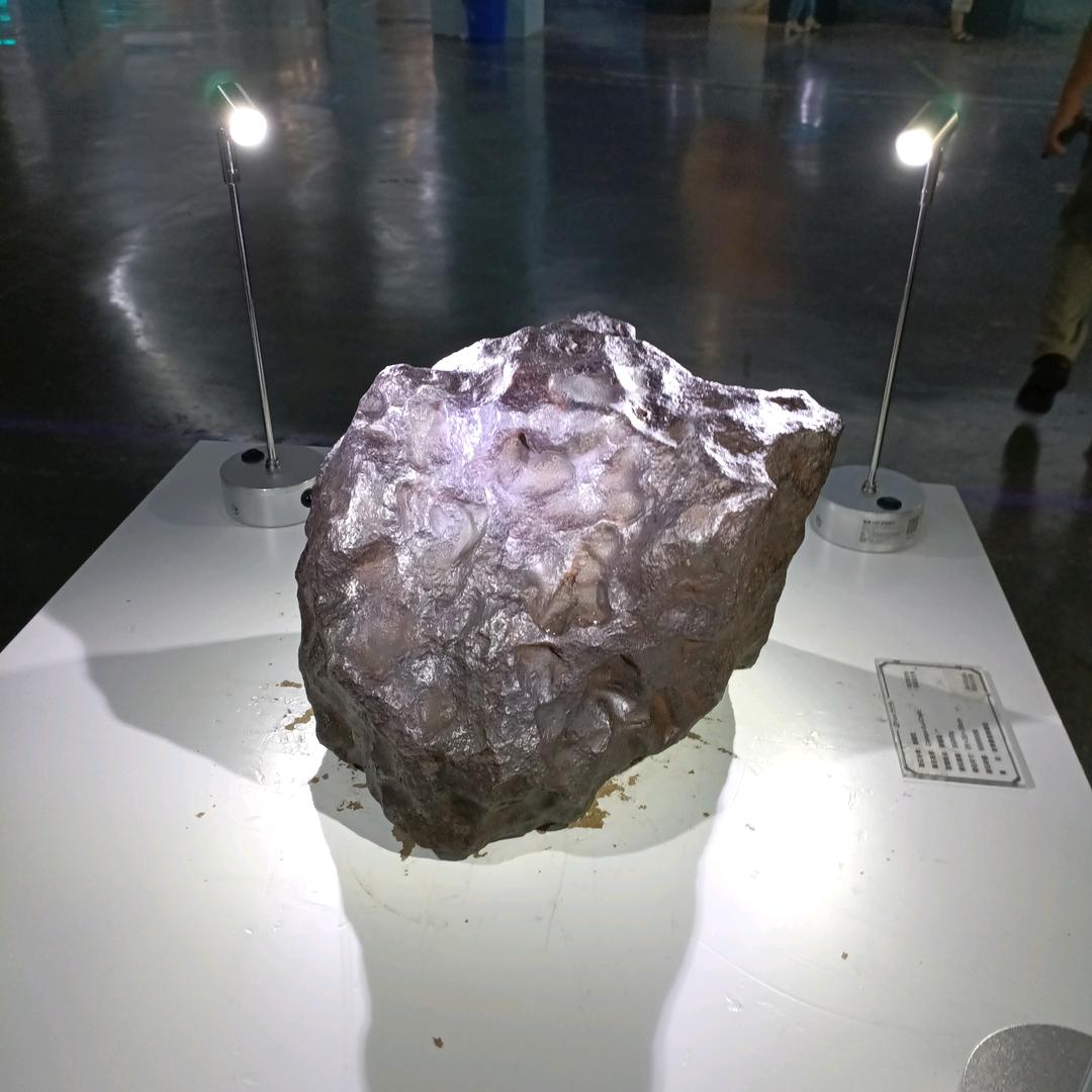 巳东