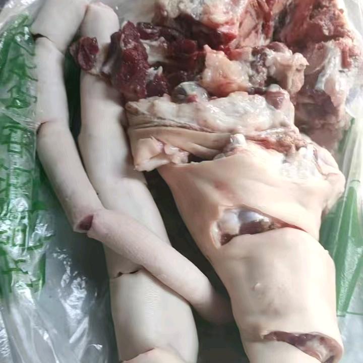 做海鲜黄瓜鱼小子，先付款后发货