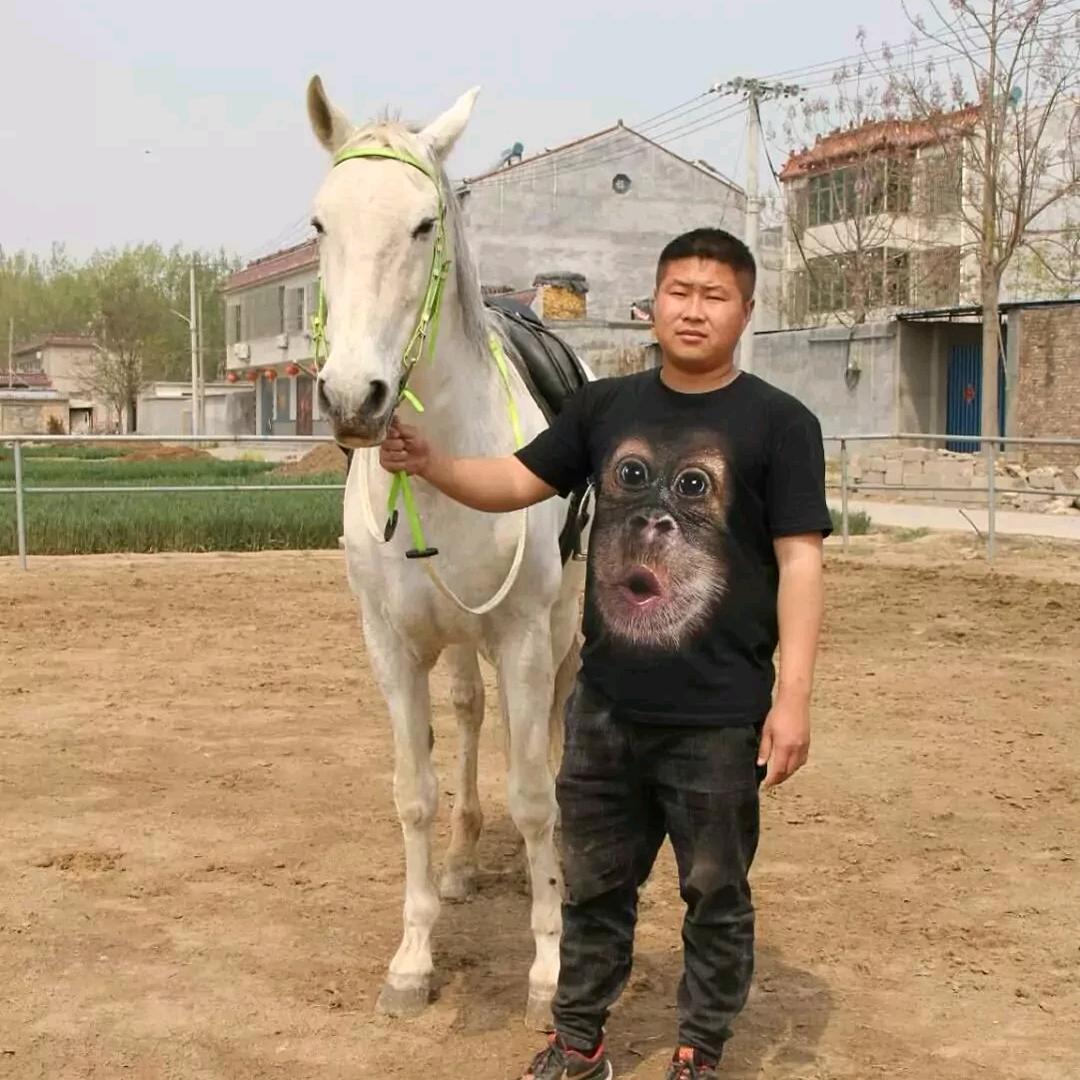 清河顾          收售制衣