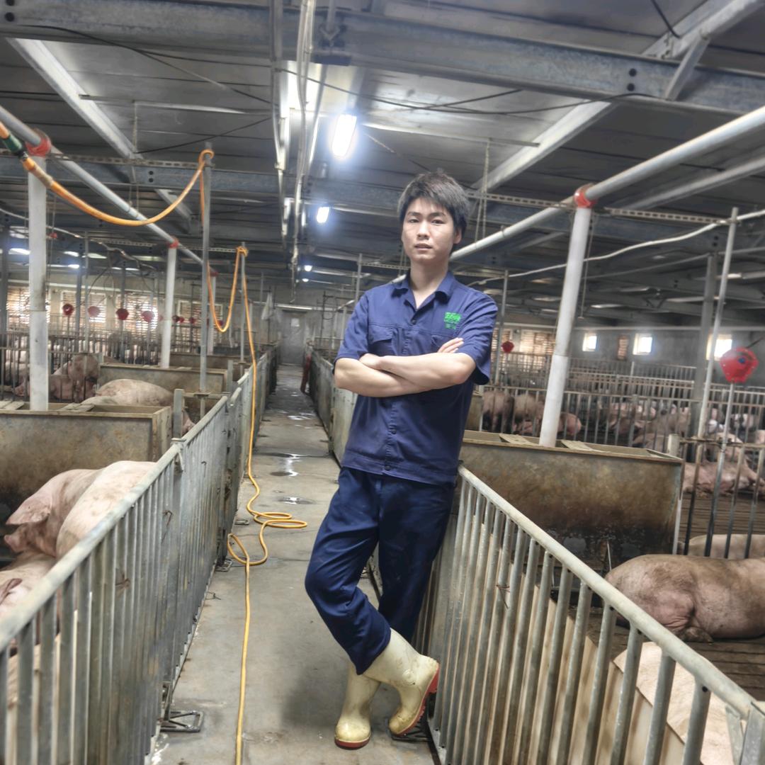 00后的养猪日常