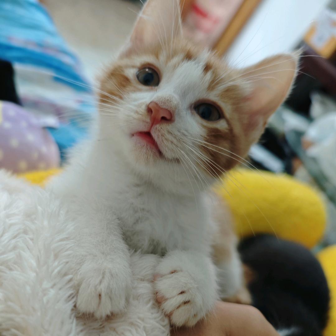 是小美呀，，，，