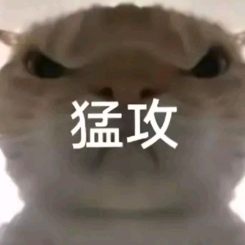 落羽呀（鼠鼠）