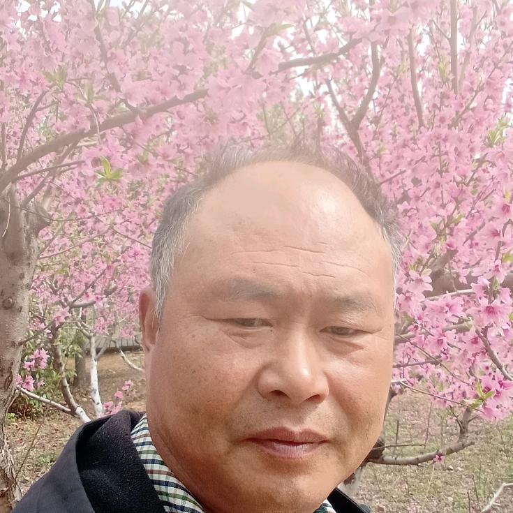 酔笑清风