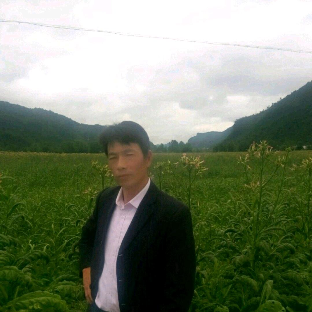 瞭望