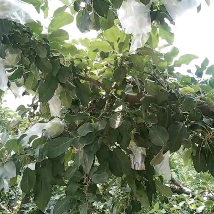 适可而止