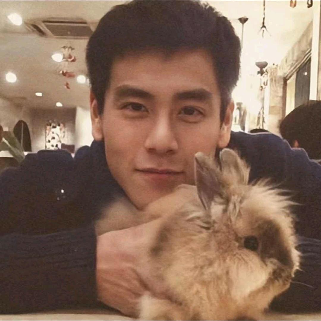 扶老蟑螂过马路被屎壳郎无证驾驶撞飞1米