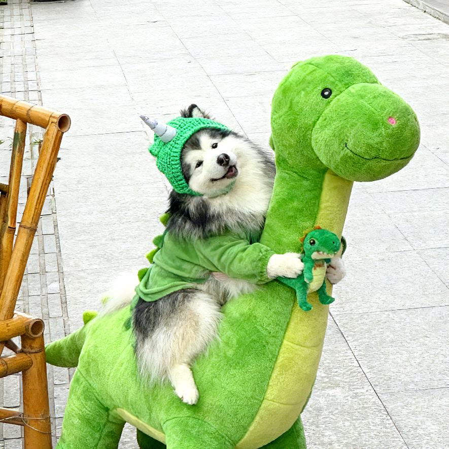 臭臭的財財。