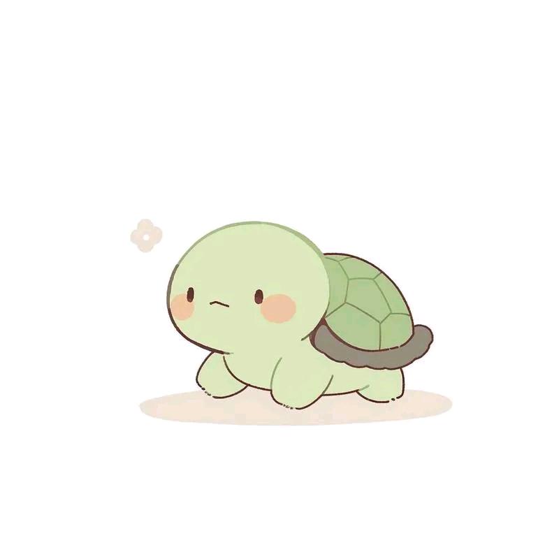 木同养龟（晚八点半福利）