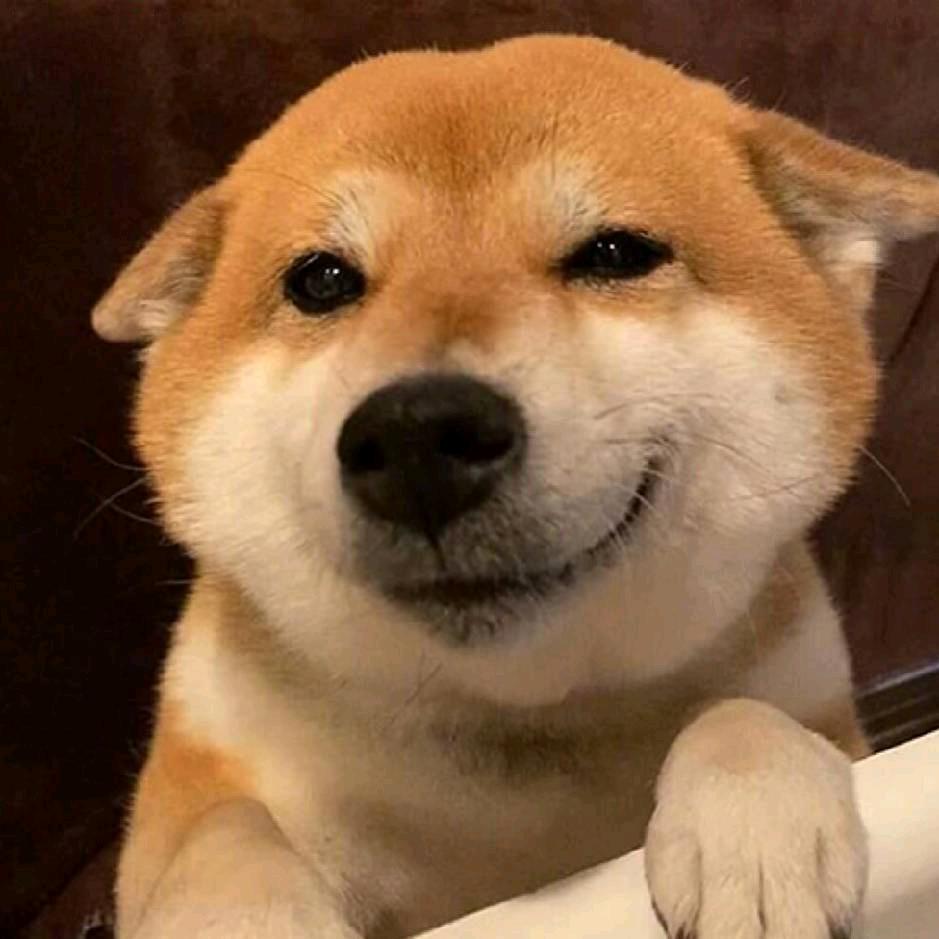 猫神