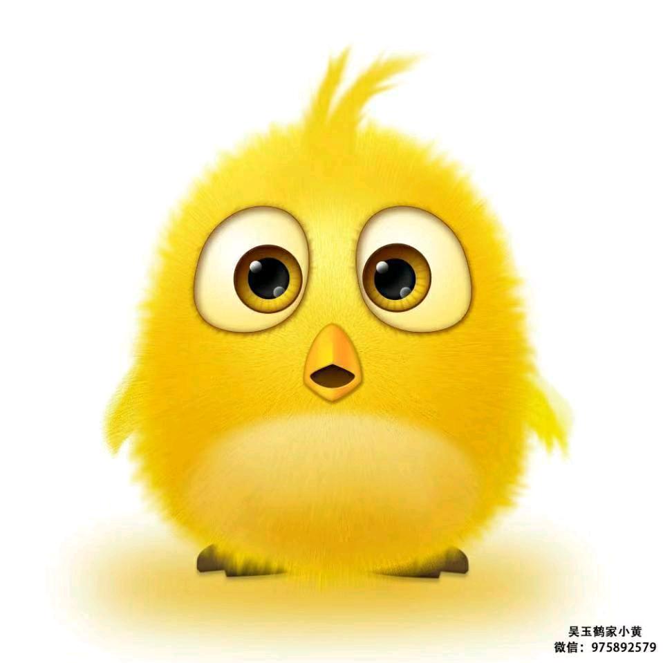 ^O^祝小胖^O^
