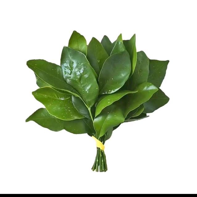 祉猷并茂 顺遂无虞