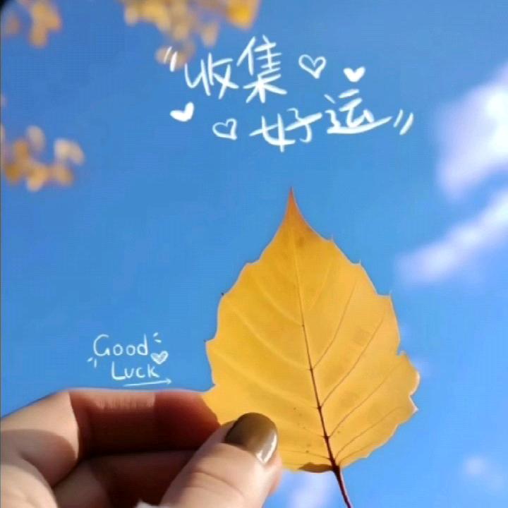 落忆