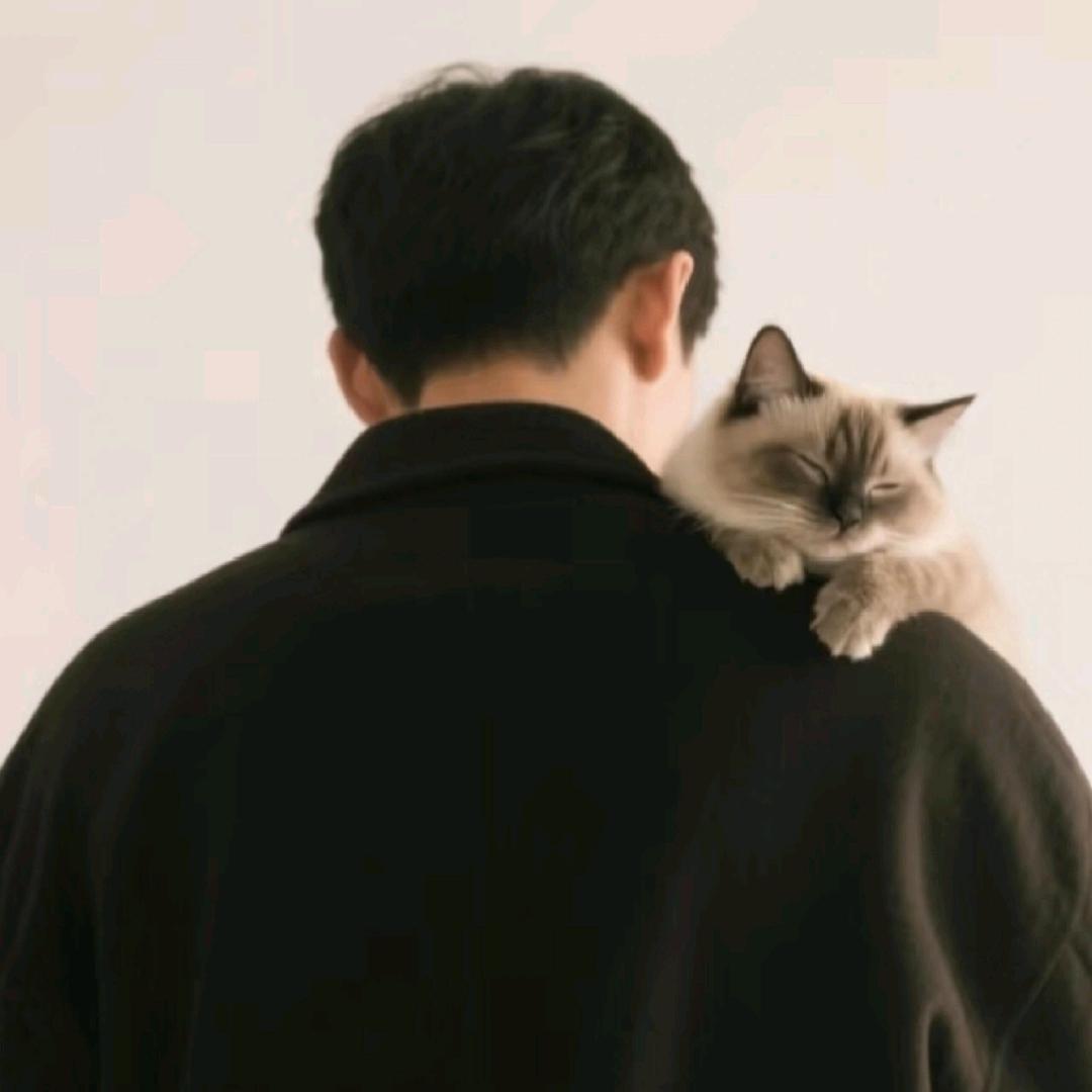 🐟等风来，不如追风去🌈