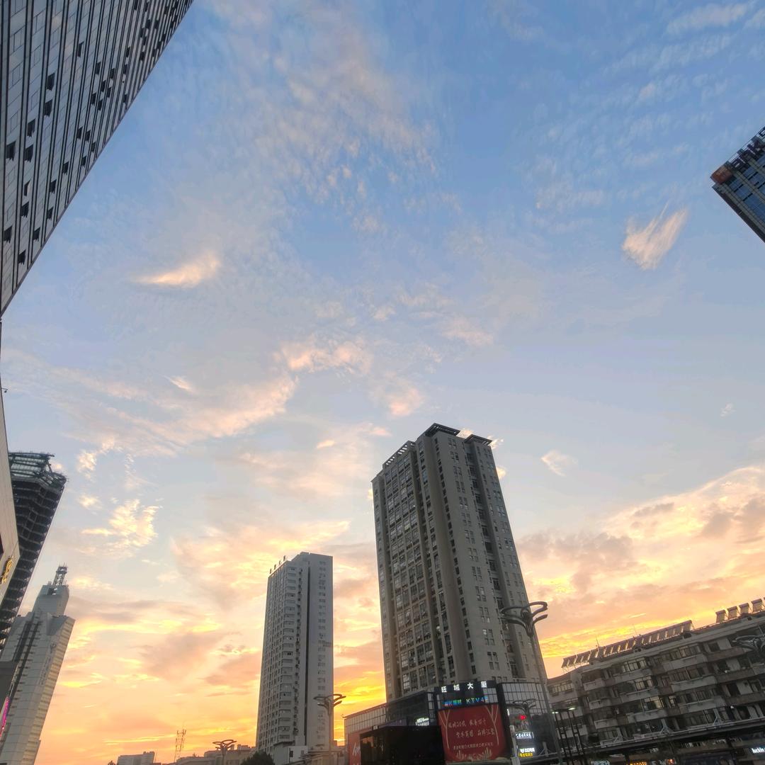 保罗同学(一折Go)