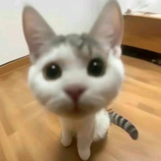 氢氧化