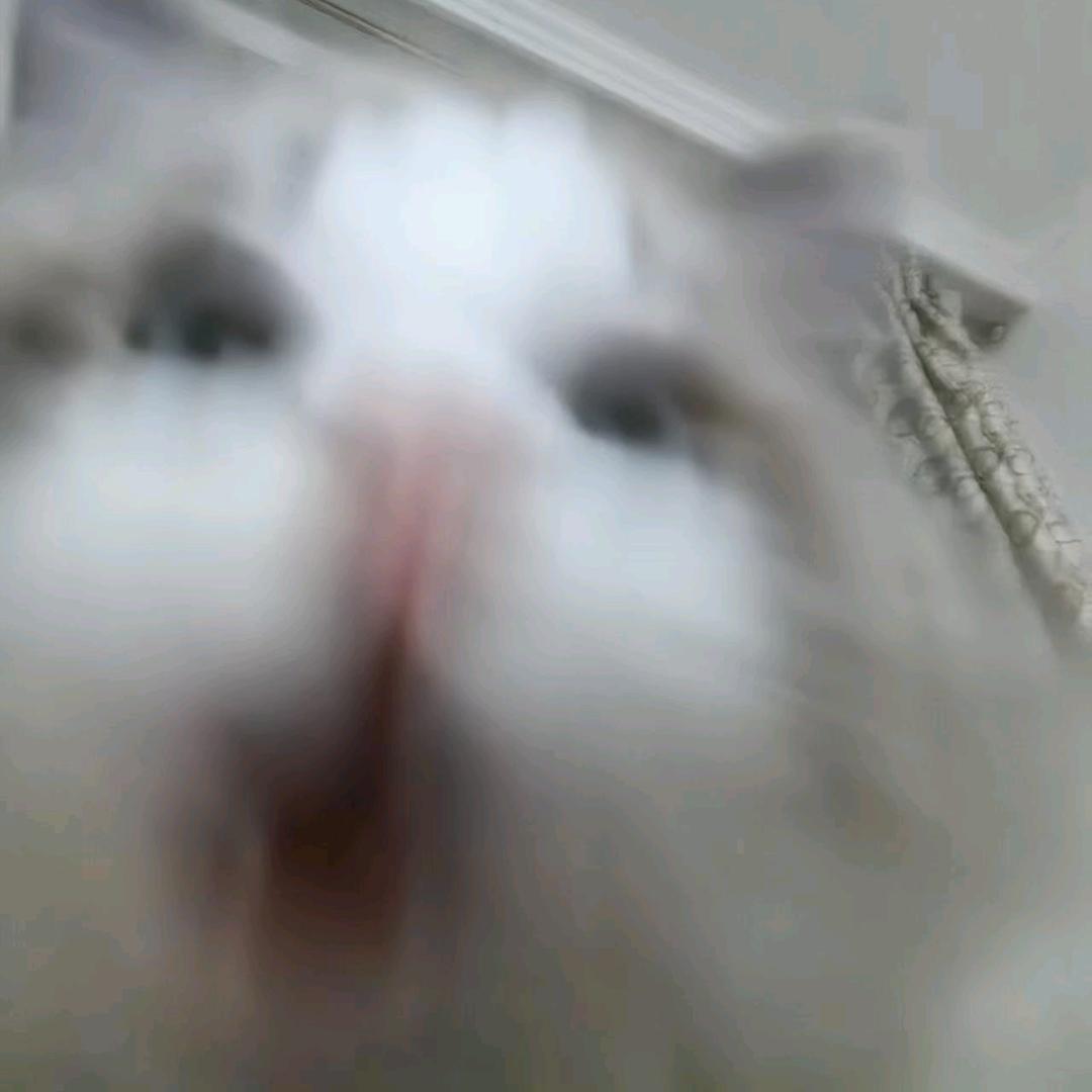 遇事不慌张先生™️