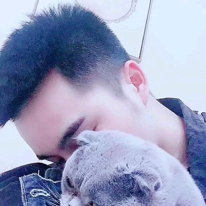 。。。。。。。。