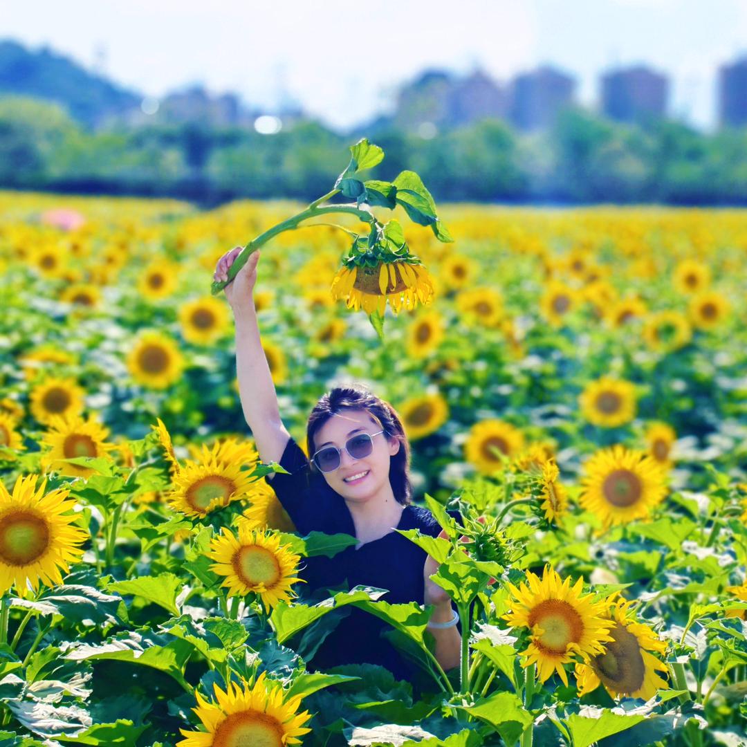 云端的向日葵🌻