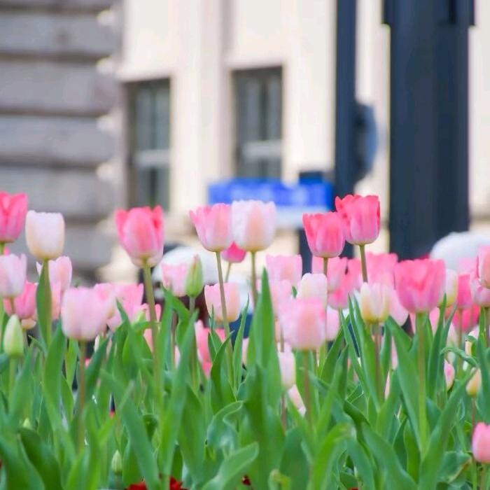 茜🌹妍🌷航🌸