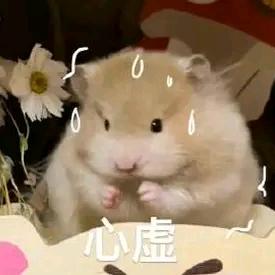 兵兵王中王💞