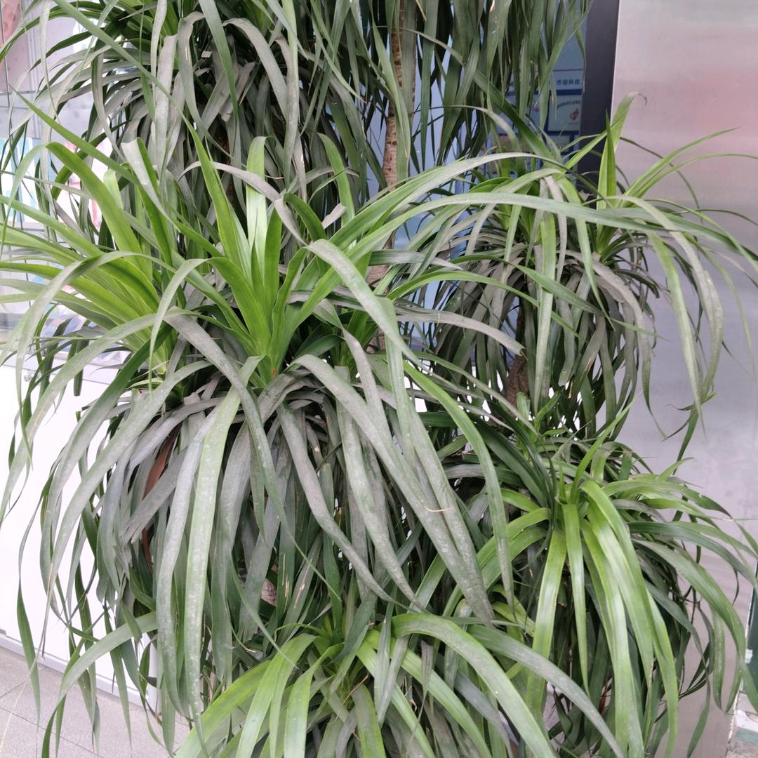 机会来了莫错过