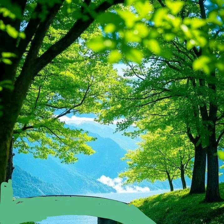 刘～凤