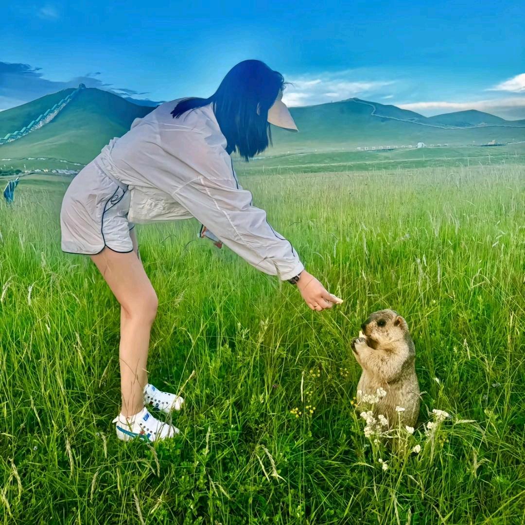 希望小刘永远开心