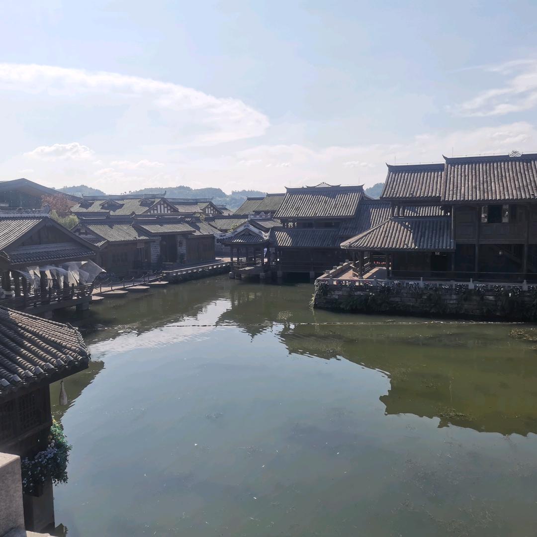 刘先生╮