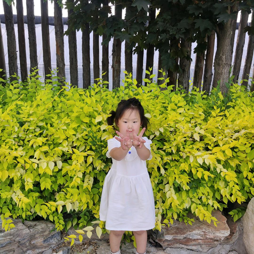 开开心心每一天