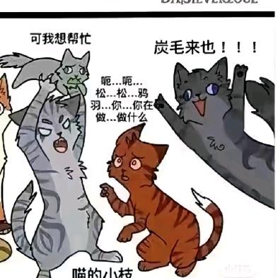 是猫武晨溪呀！