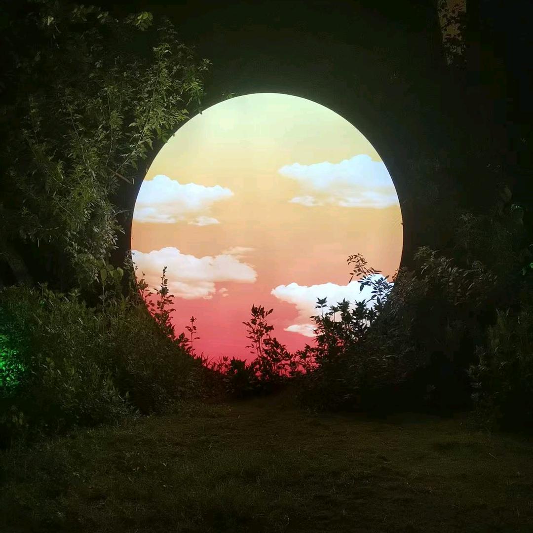 回不去☞的《青春》