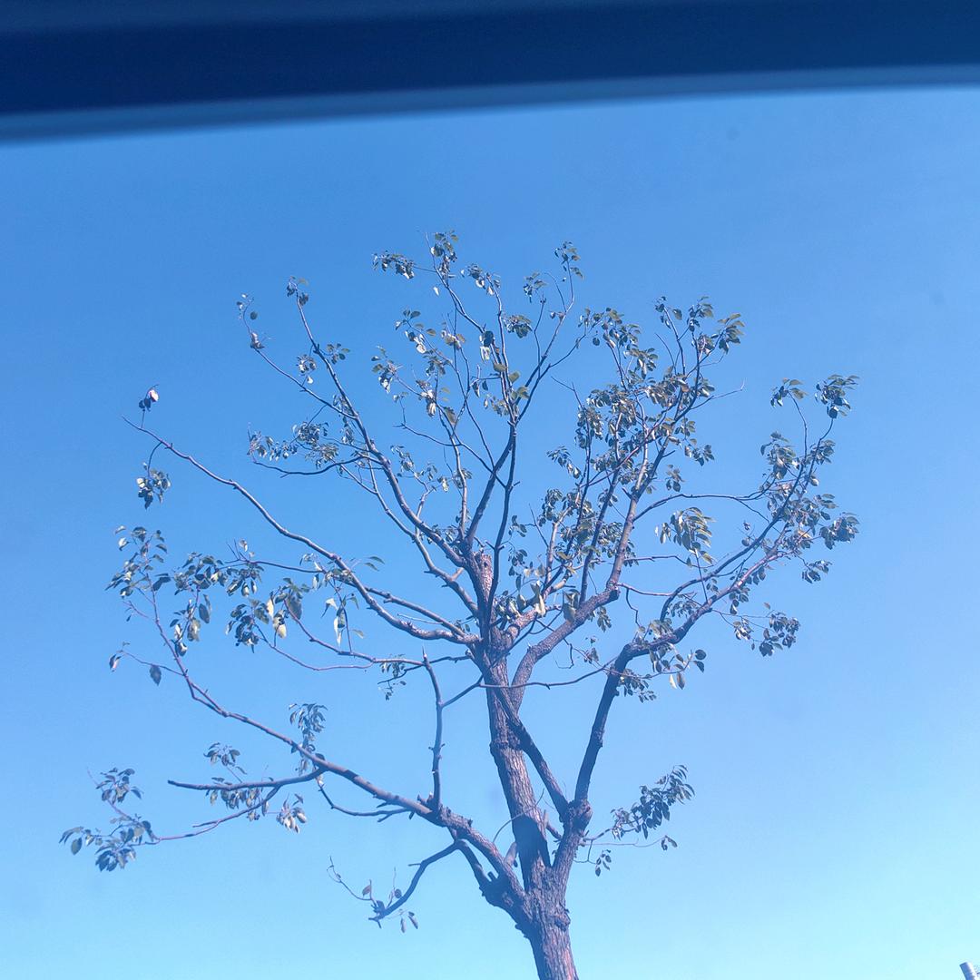 从 2024 开始我的新生活