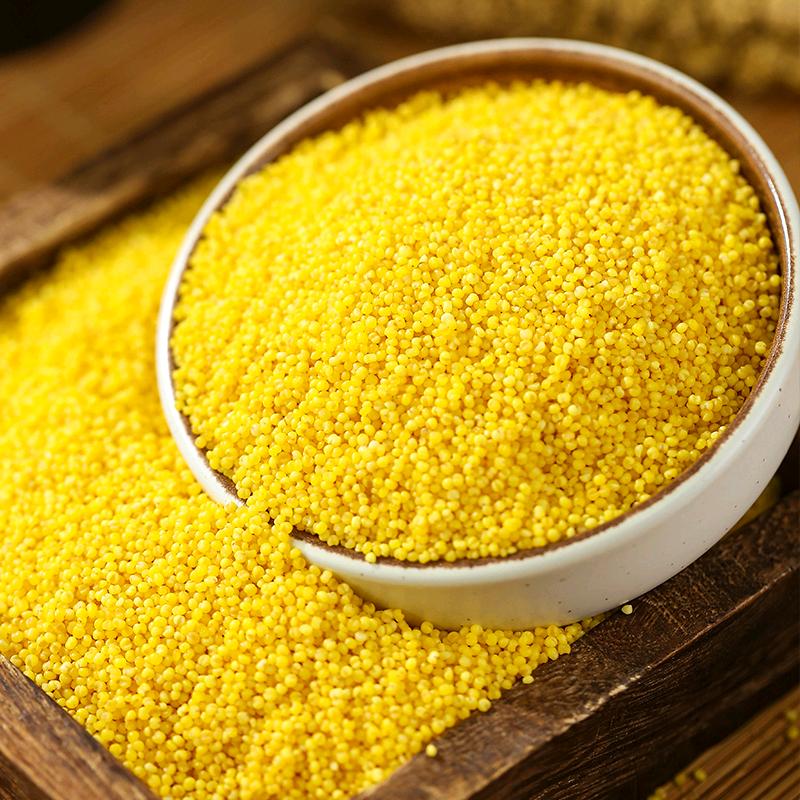 朝阳油糯黄小米