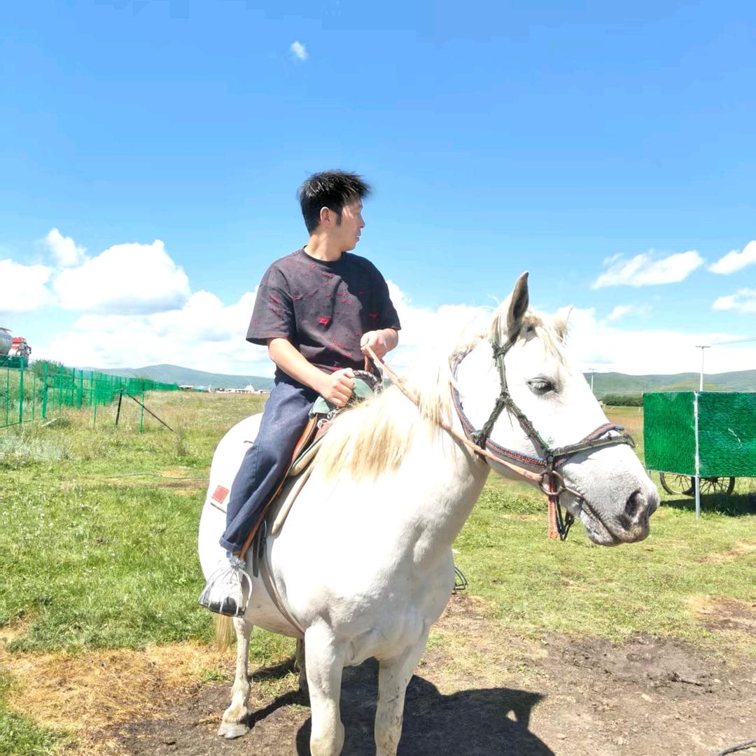鹏