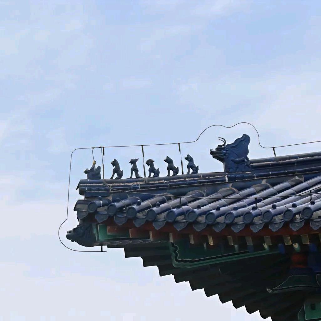 尢总