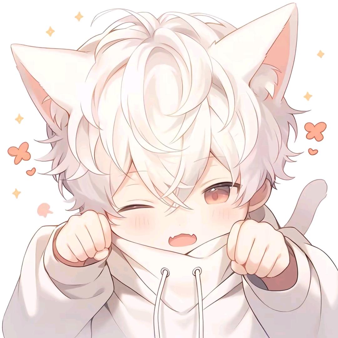 白羊♈