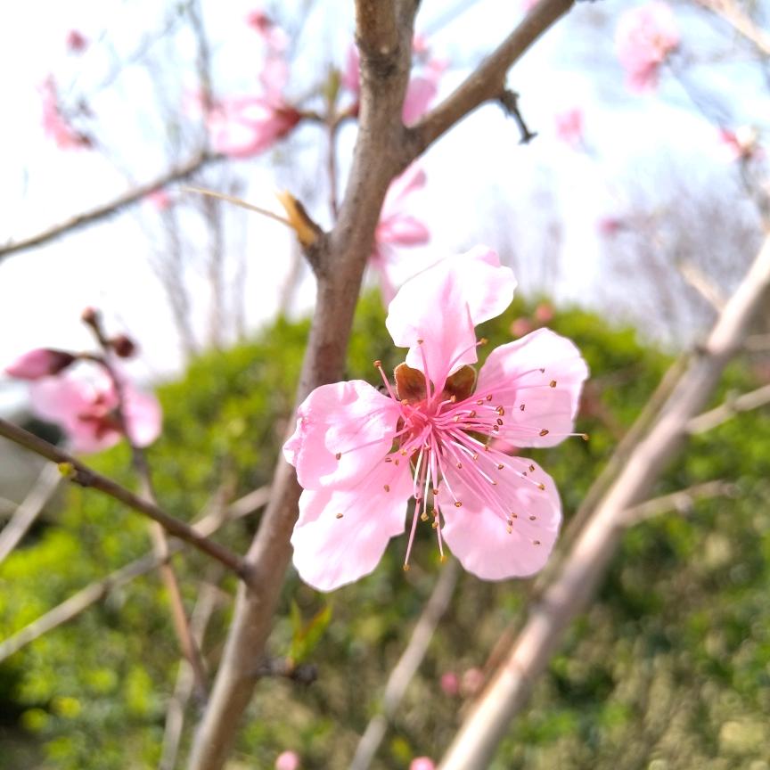 @豫●见♥你