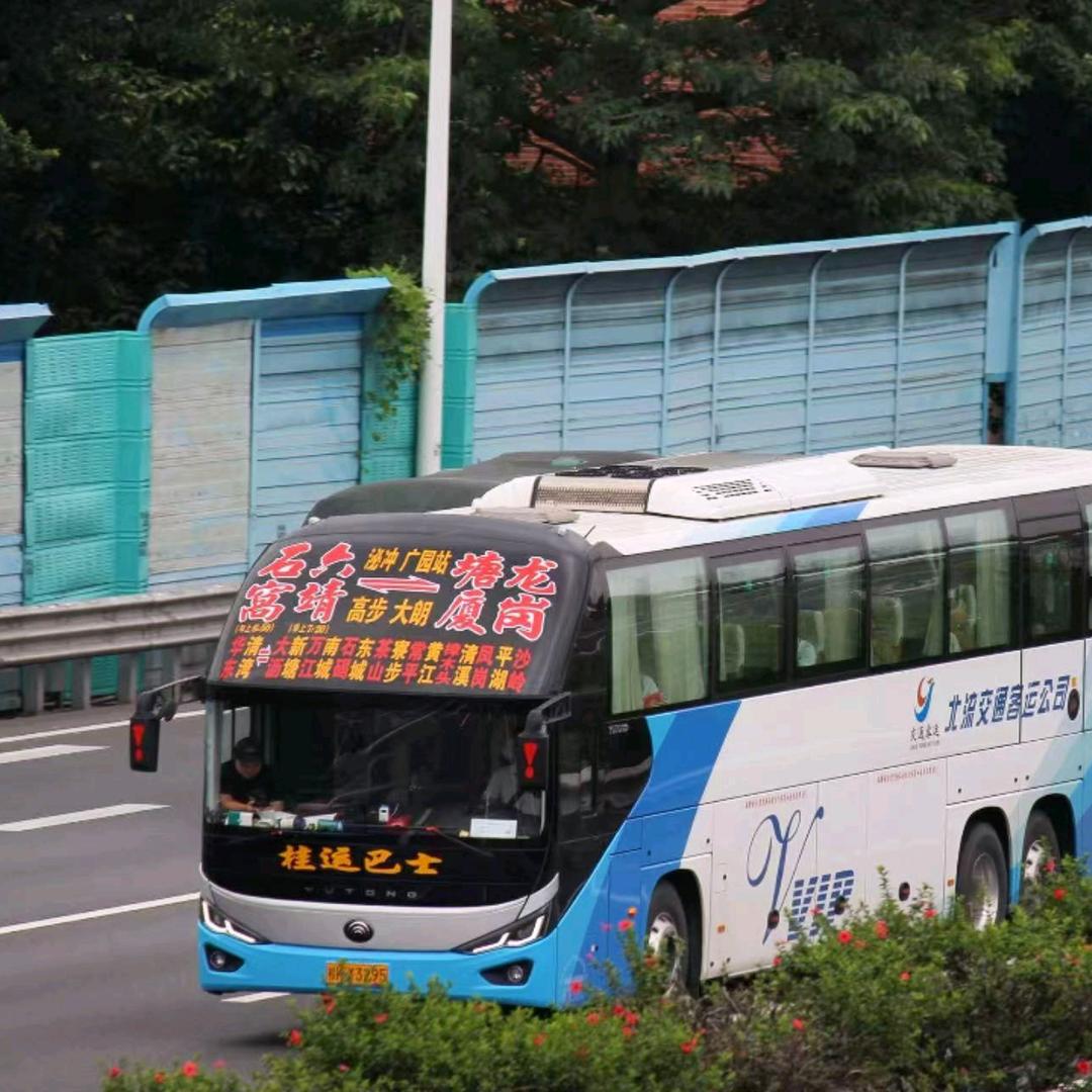 桂运巴士《六靖一龙岗》
