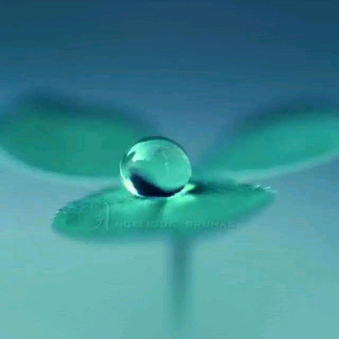 永丰