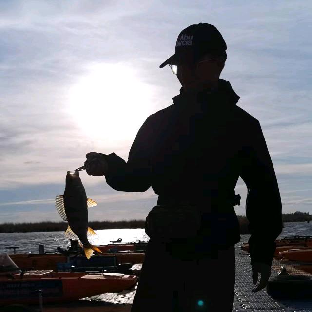 Lure🎣鱼
