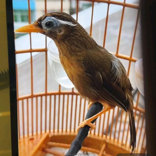 卷尺量尽人生路