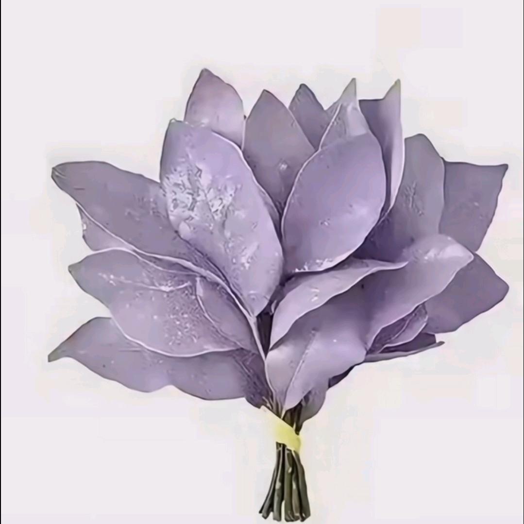 Rosy.🌷（看许我耀眼版）