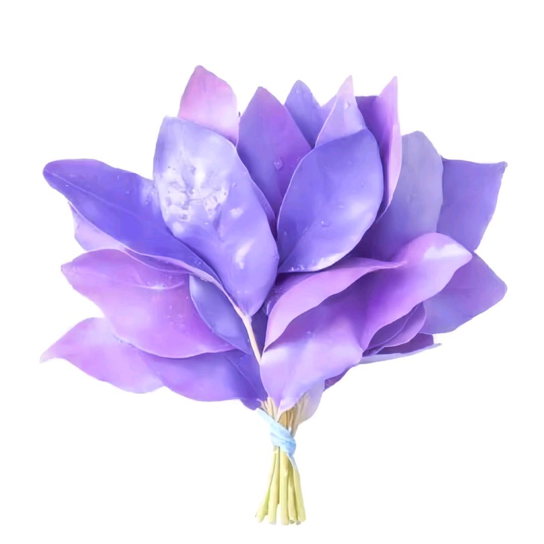 幼多金——您的生命守护之神🩺🥼⚕️