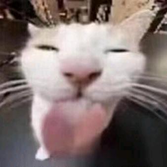 初中王