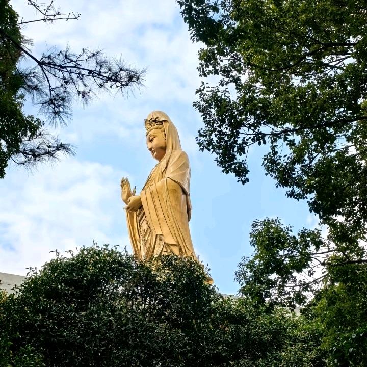 ZovH👩‍❤️‍👨💒（龙凤堂）