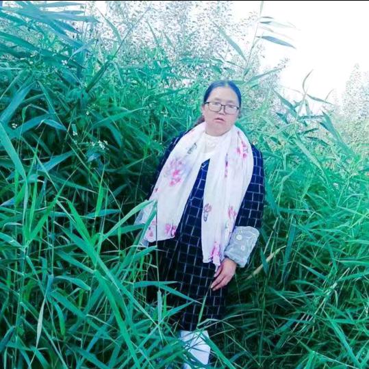 用户63423882151253079、