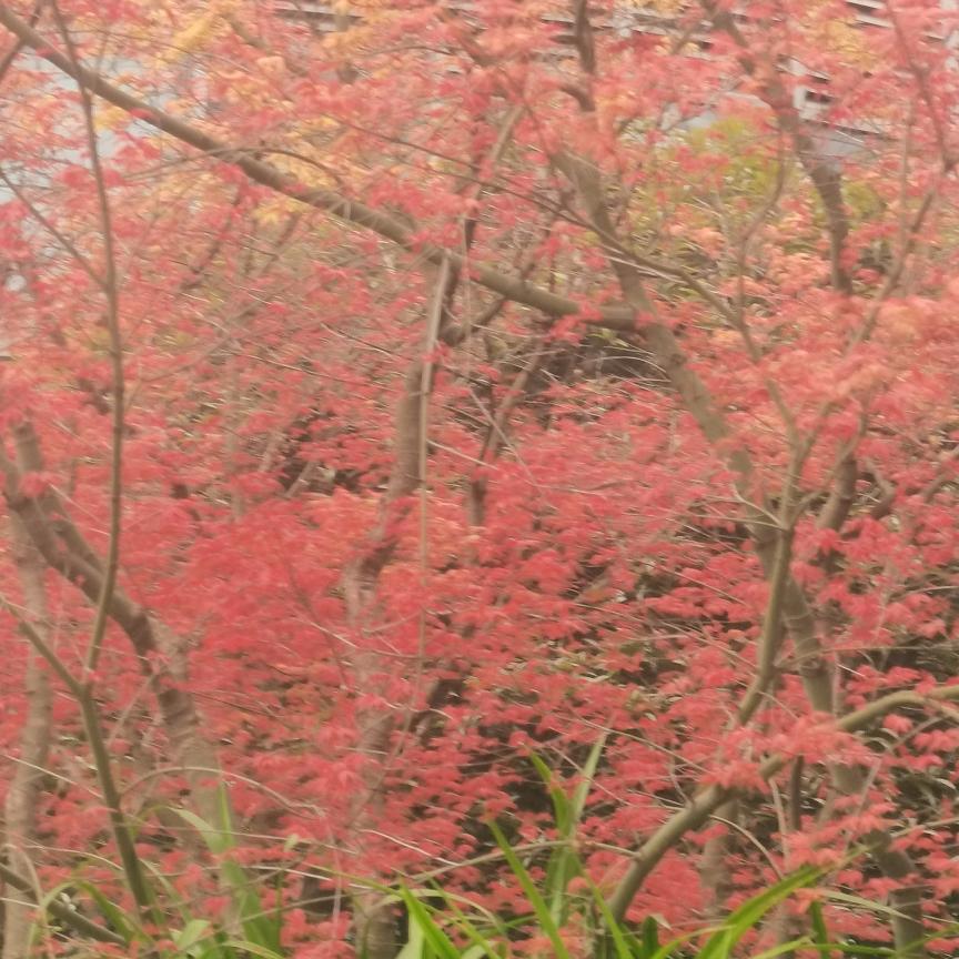 你惹真我就用心